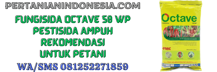 pestisida,fungisida,octave,octave 50 wp,fmc,pertanian indonesia